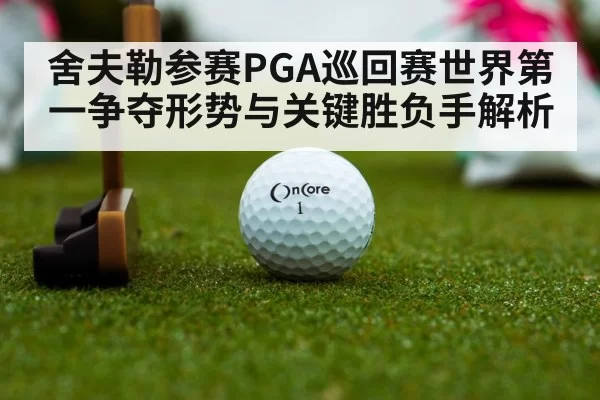 舍夫勒参赛PGA巡回赛世界第一争夺形势与关键胜负手解析